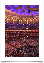 Proms - Jackie Tucker Proms - Jackie Tucker